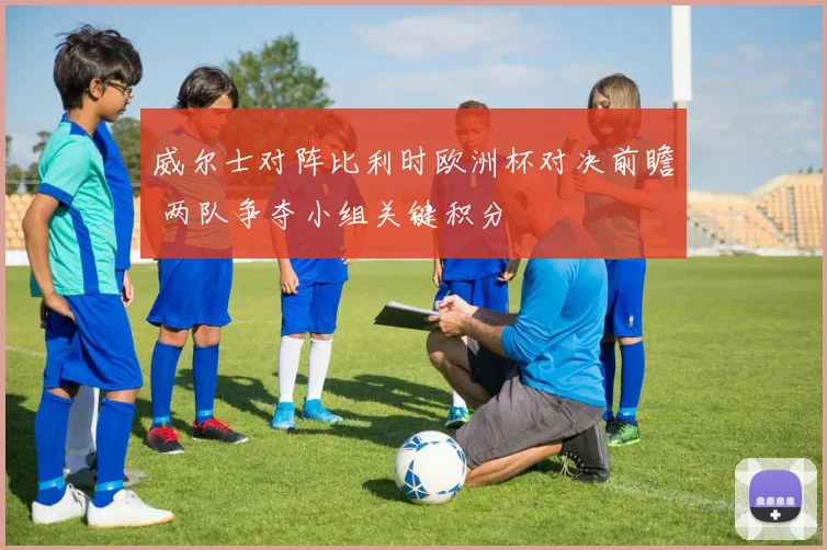 威尔士对阵比利时欧洲杯对决前瞻 两队争夺小组关键积分