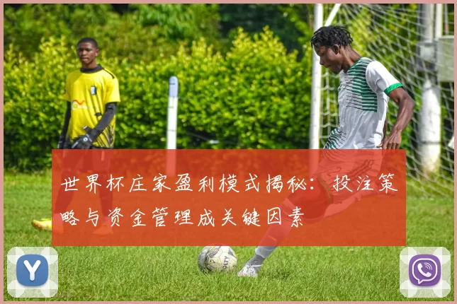 世界杯庄家盈利模式揭秘:投注策略与资金管理成关键因素